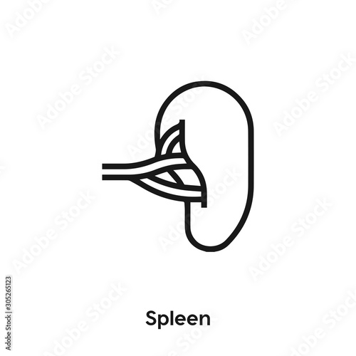 spleen icon vector. Human Organ icon vector symbol illustration. Modern simple vector icon for your design. Spleen and human organ icon vector	 photo