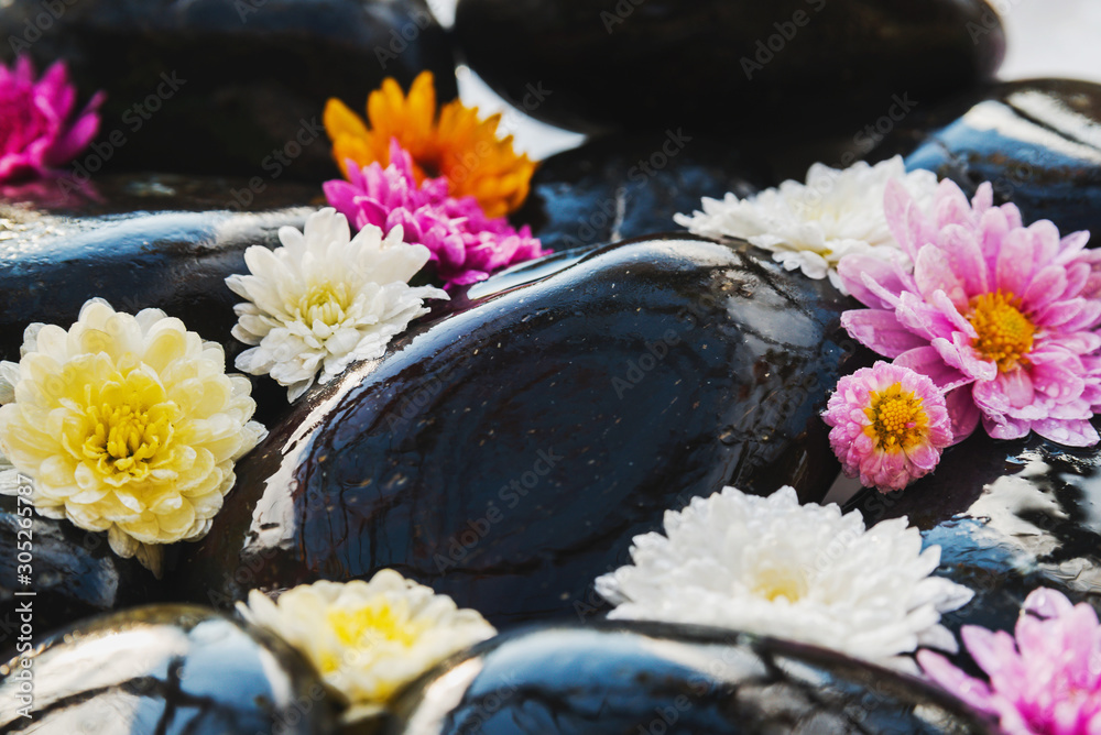 Wet black stones with chrysanthemum buds, decor for spa, relaxation and massage Wet black stones with chrysanthemum buds, decor for spa, relaxation and massage