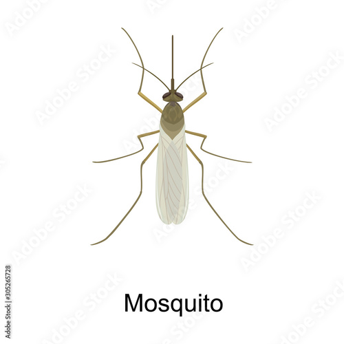 Mosquito vector icon.Cartoon vector icon isolated on white background mosquito.