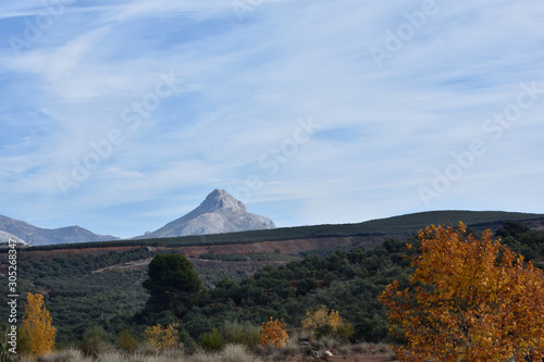 Landscape with the "Peñón de la Mata" (Granada) in the background and autumnal trees in the foreground