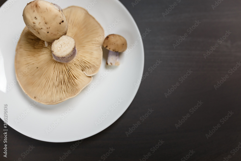 One raw tricholoma mushroom on a white plate on black table. Not enought food or oversaturation concept. Diet, nutrition, healthy and unhealthy eating habits, overweight or underweight concept. One raw tricholoma mushroom on a white plate on black table. Not enought food or oversaturation concept. Diet, nutrition, healthy and unhealthy eating habits, overweight or underweight concept.