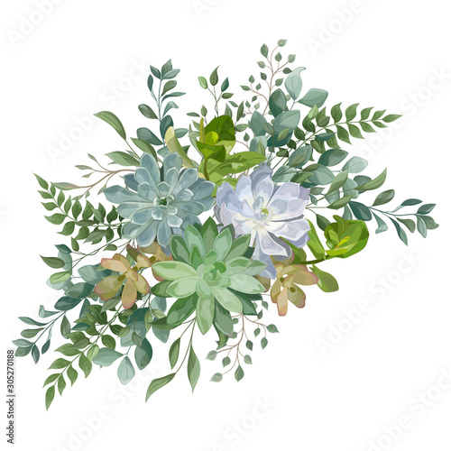 Bouquet with succulent flowers  watercolor  isolated on white. Vector Watercolour.