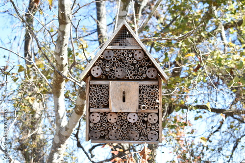 Canvas Print Winter Wooden Birdhouse on Fall Tree