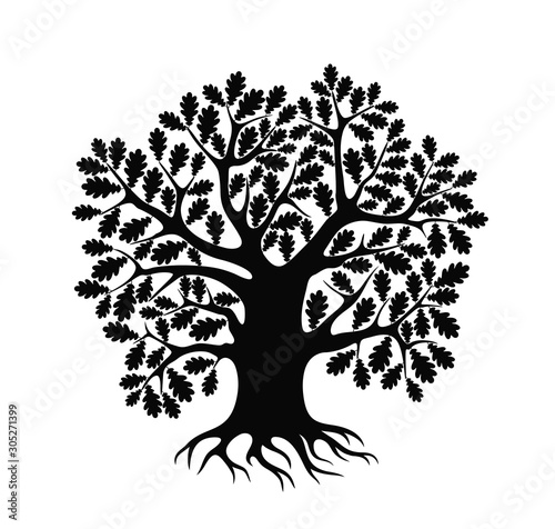 Oak tree logo. Isolated oak tree on white background