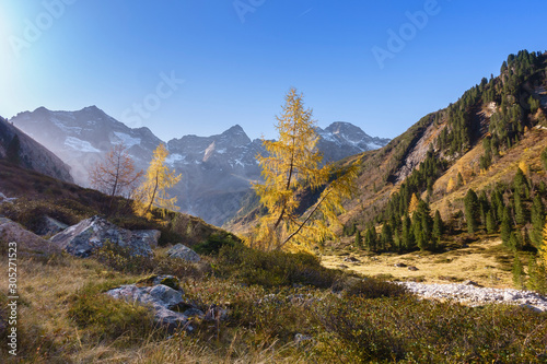 Schilderij op canvas Herbst auf einer Hochalm im Zillertal in Tirol