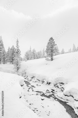 High-key winter landscape with fir trees and a stream in the foothills of Switzerland
