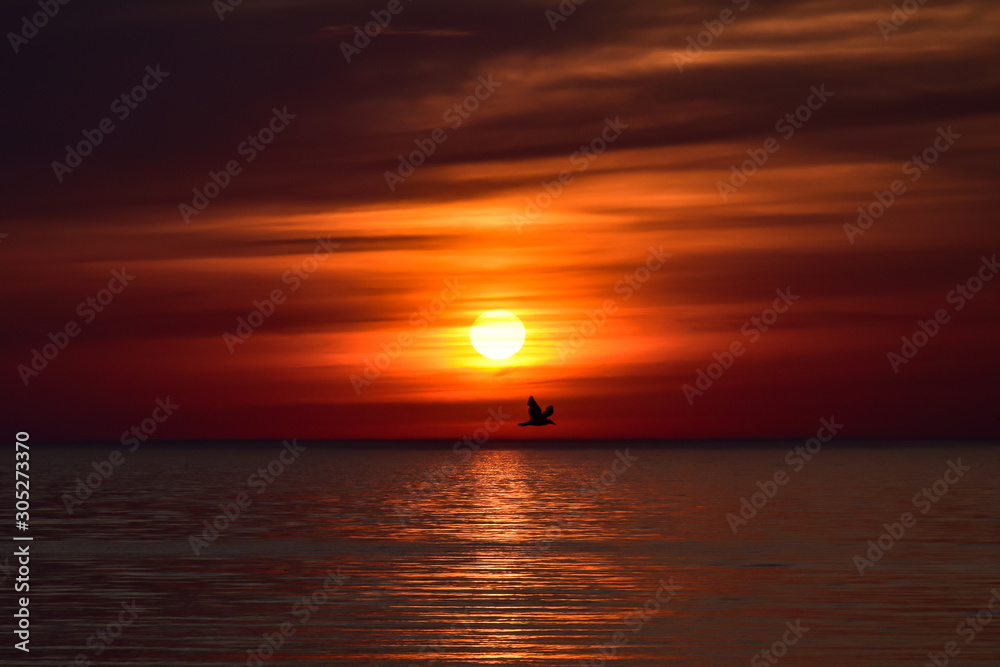 Sunset on the beach in Saulkrasti. 