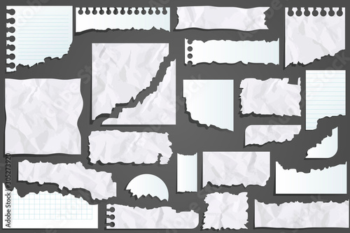 Set of paper scraps. Ripped papers, torn page pieces and scrapbook note paper pieces. Vector illustration isolated sign set