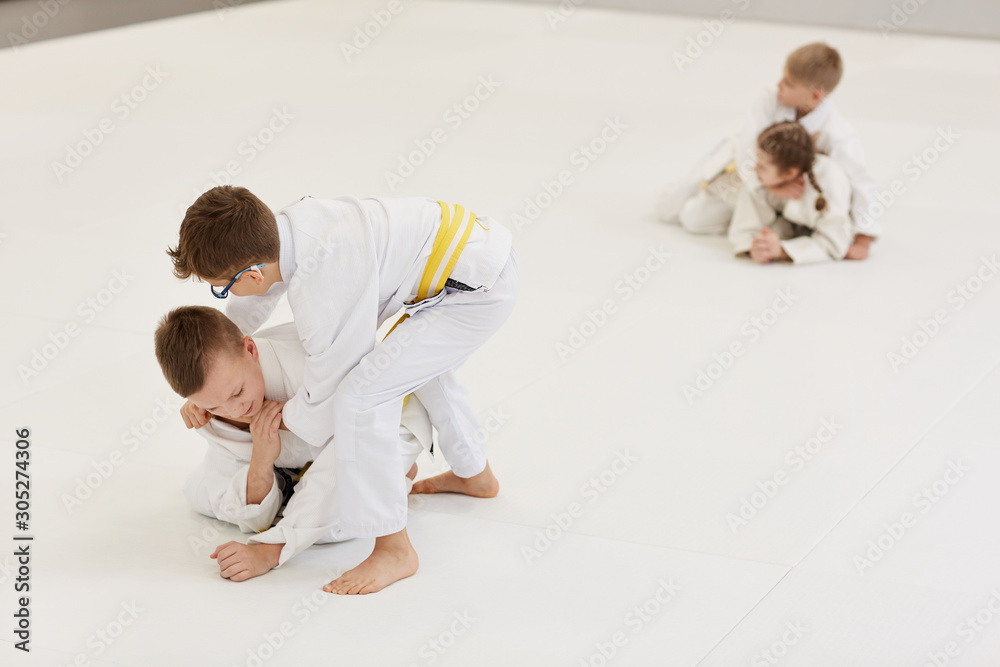 Boys fighting with each other on the floor with boy and girl fighting with each other too in the background during training in karate Boys fighting with each other on the floor with boy and girl fighting with each other too in the background during training in karate