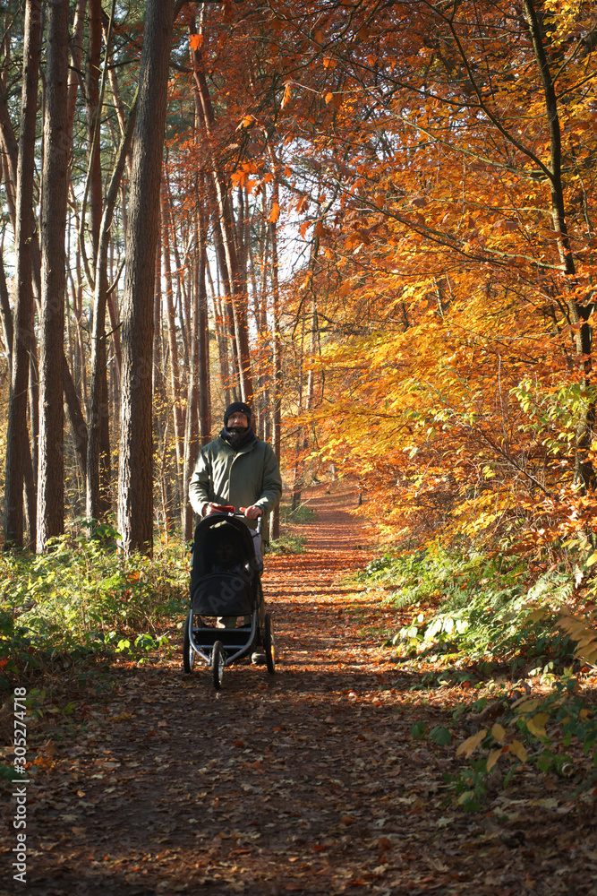 Obraz premium Mann mit Wagen im Wald