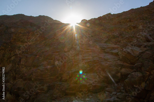 sole nel deserto photo