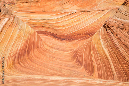 Lines and curves of the Wave formation in Coyote Buttes North