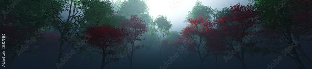 Beautiful park in the fog, trees in the morning haze. Beautiful park in the fog, trees in the morning haze.