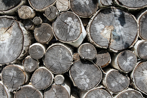 Sawn logs of birch lies on each other. The woody structure is visible on dried and slightly cracked cuts. Logging Theme.
