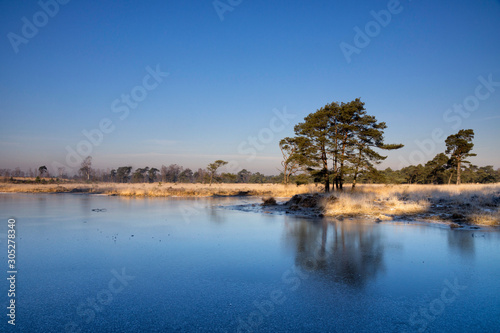 Frozen moorland pool