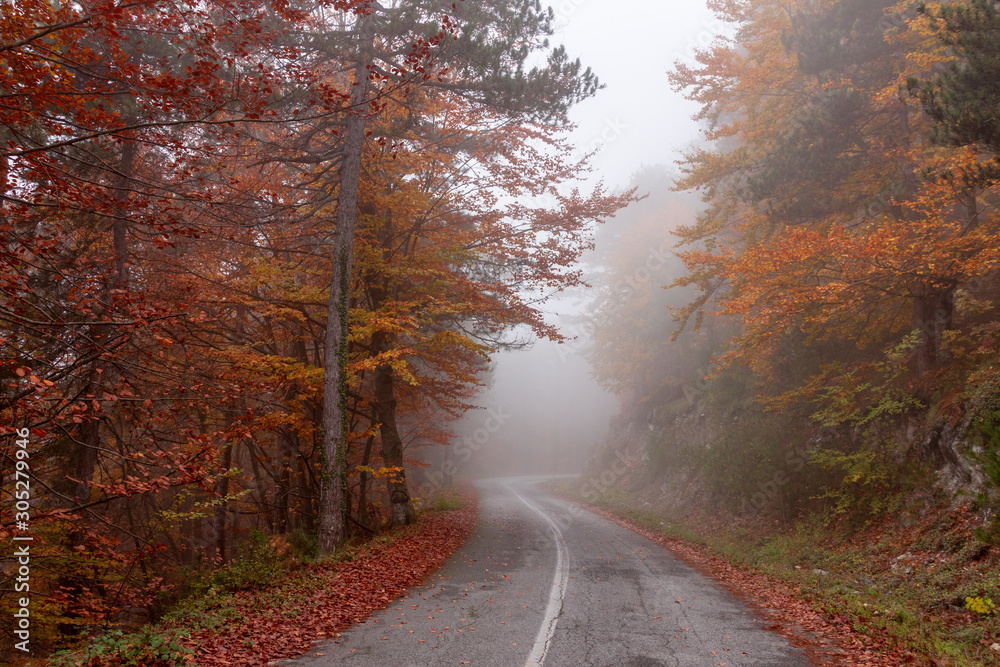 Autumnal road covered by fog