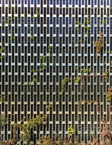 Stainless steel metal structure and growing plants on it