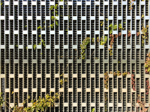 Stainless steel metal structure and growing plants on it
