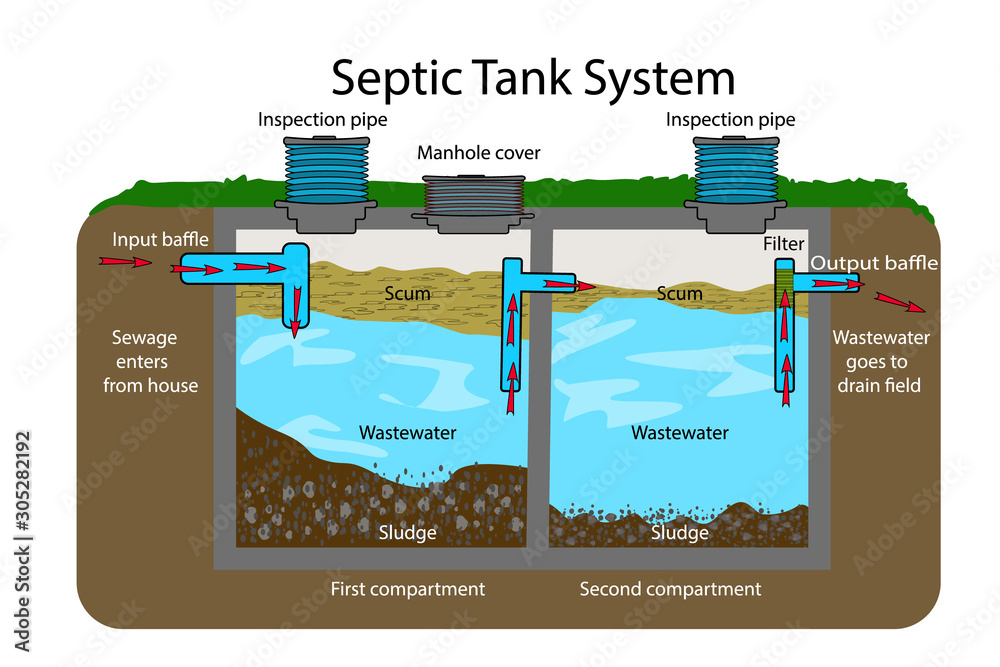 Septic Tank diagram. Septic system and drain field scheme . An