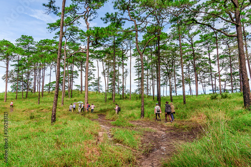 Wallpaper Mural Trekking and Porter on the Mountain at Phu Soi Dao National Park, Thailand Torontodigital.ca