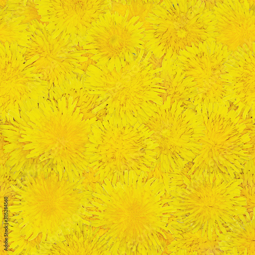 seamless endless texture of yellow dandelions close-up.