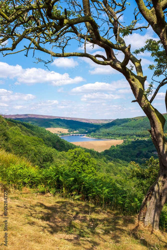 Obraz premium Peak district Derbyshire summer view over lady bower derwent valley UK