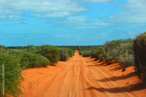 francois peron national park red sand photo