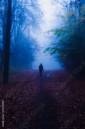 Silhouette of a man walking a dog in the autumn forest © Yevhenii