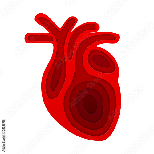 Vector red picture of human heart in paper art style. EPS 10