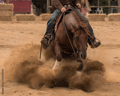 Reining deporte equestre disciplina western