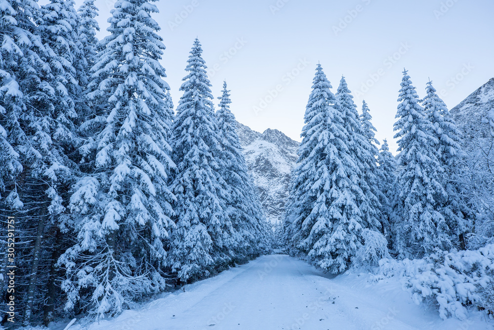 Scenic winter alpine background