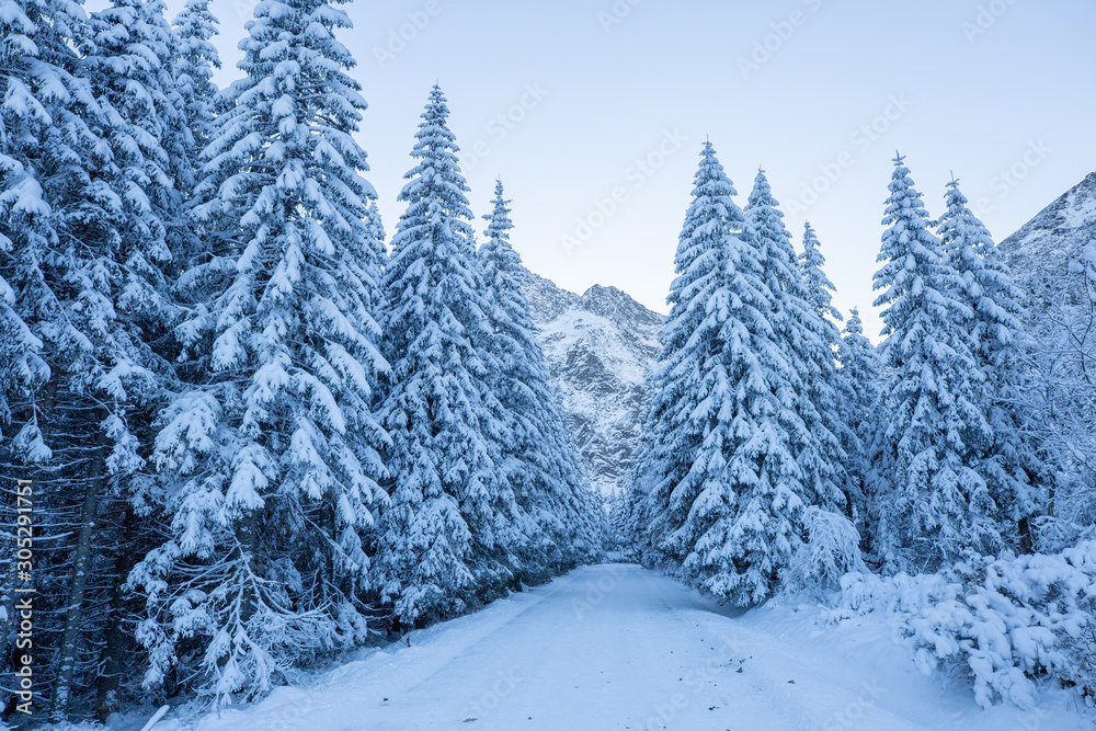 Scenic winter alpine background Scenic winter alpine background
