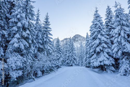 Blue winter landscape with road © alexugalek