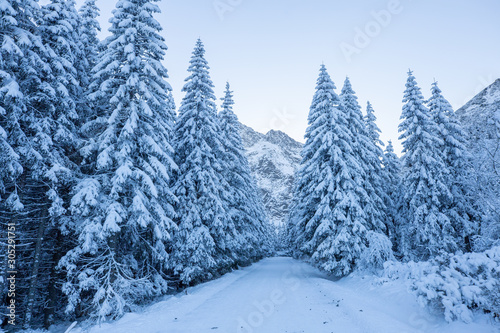Scenic winter alpine background © alexugalek