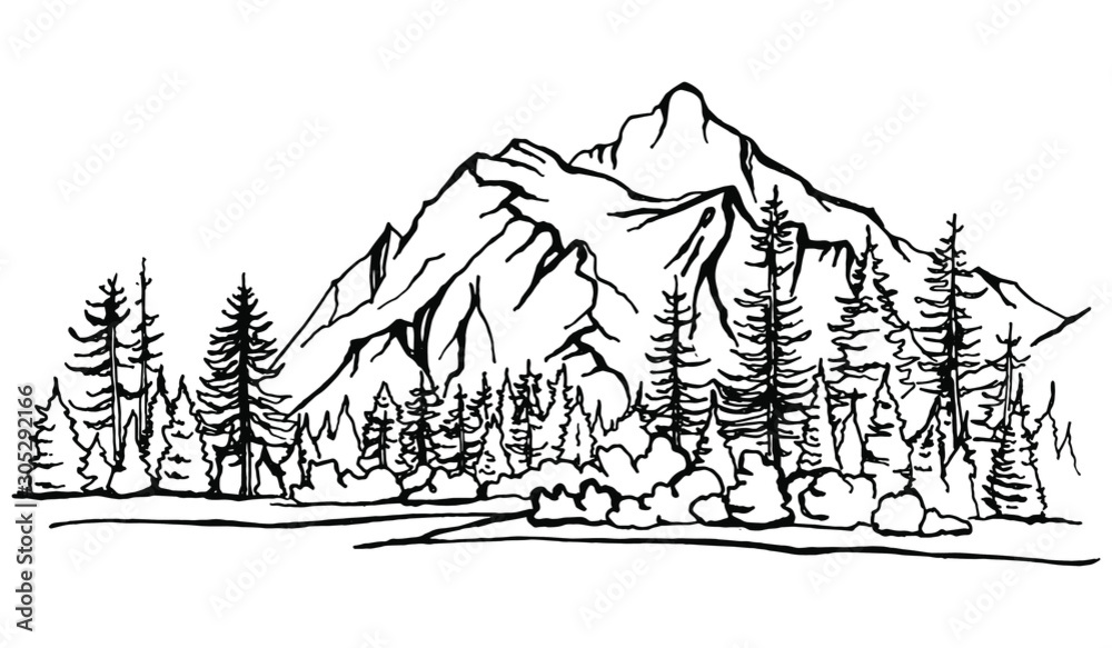  Mountain Landscape, forest pine trees sketch. Hand drawn vector Illustration.