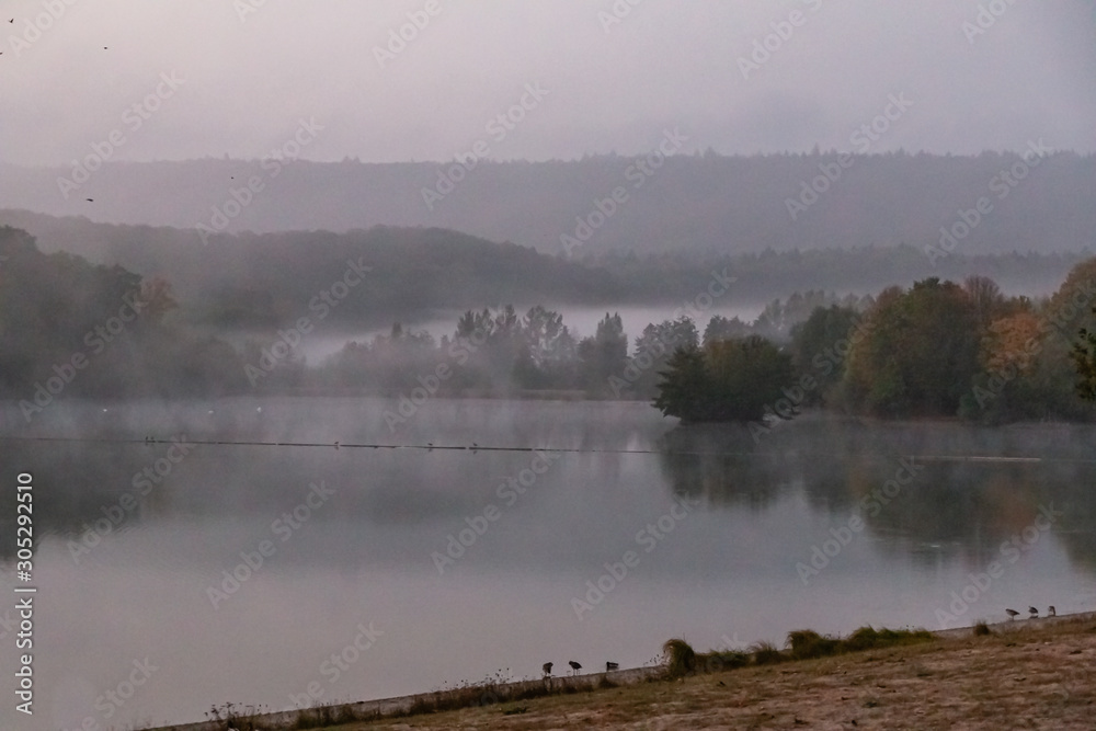 Nebellandschaft Nebellandschaft