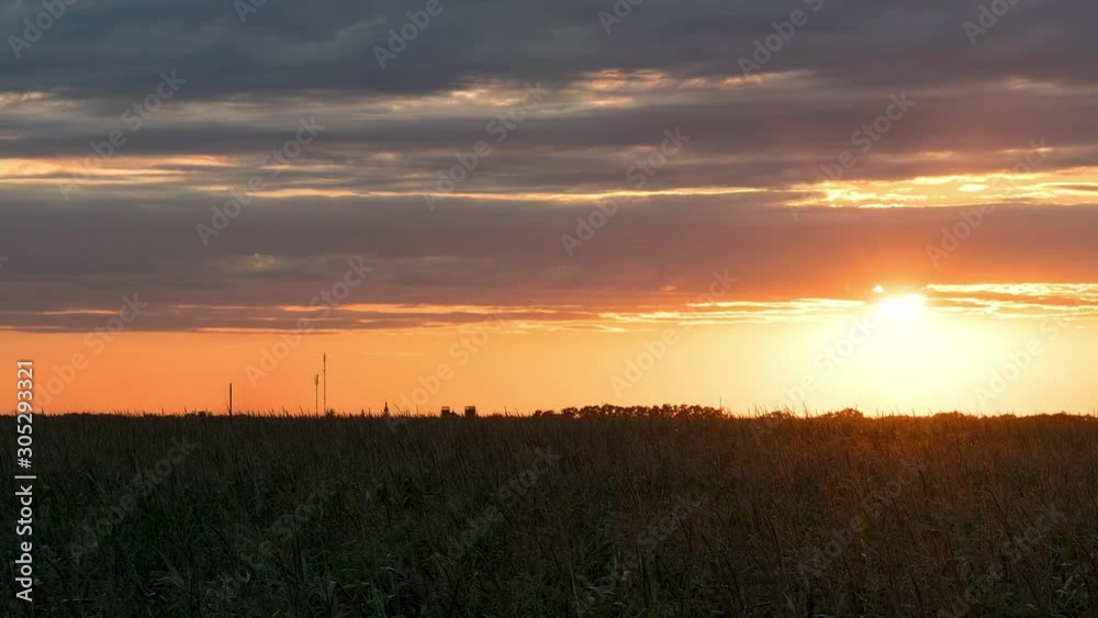Sunset over corn field time lapse, sunset in the steppe, sunset in prairie, red sun over field, morning sun over the field hyper lapse Sunset over corn field time lapse, sunset in the steppe, sunset in prairie, red sun over field, morning sun over the field hyper lapse