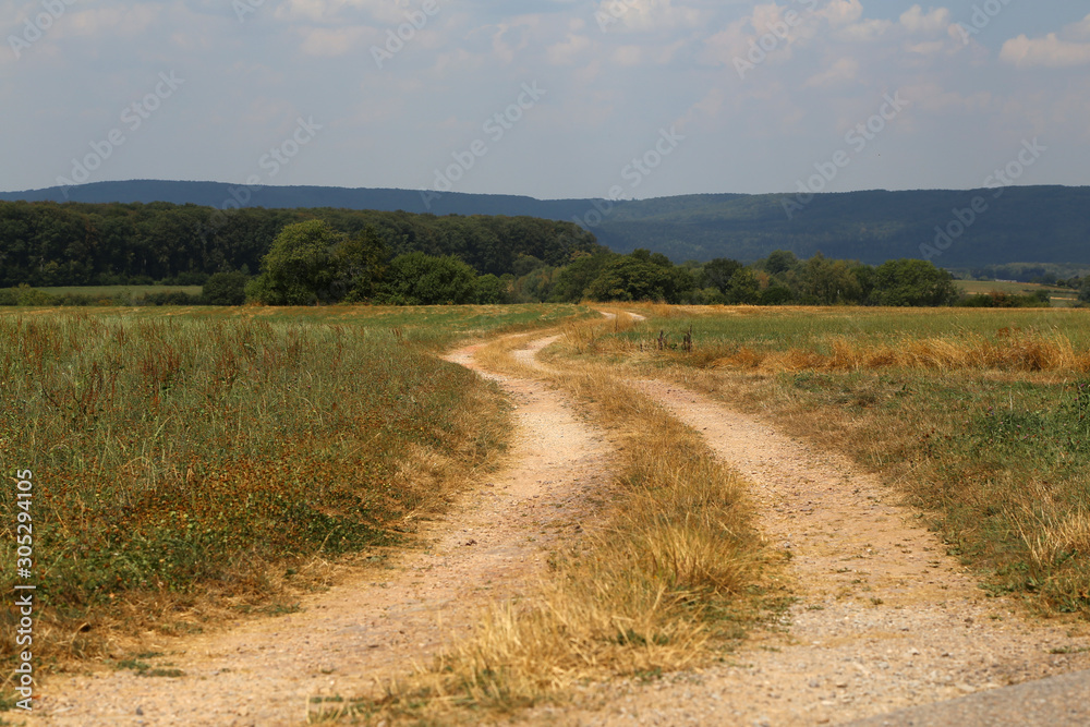 unbefestigter weg durch eine grüne wiese in frankreich unbefestigter weg durch eine grüne wiese in frankreich
