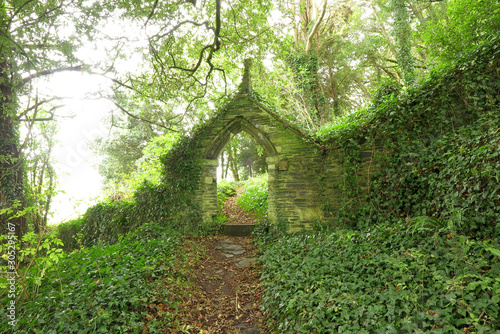 CHURCH GARDEN