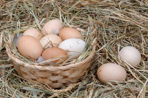Chicken eggs are stacked in a basket.