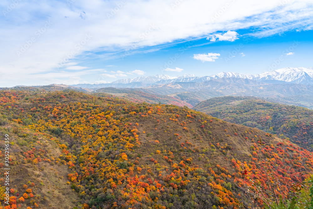 Golden autumn in the mountains. Autumn landscape in the mountains. Kazakhstan