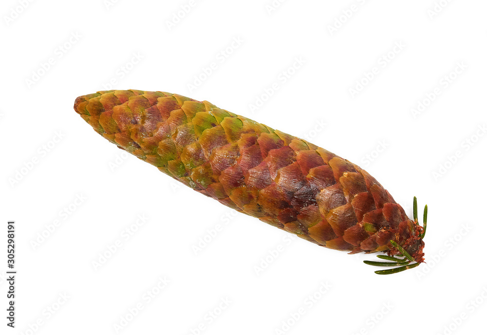 Red fir cone on white background, isolated