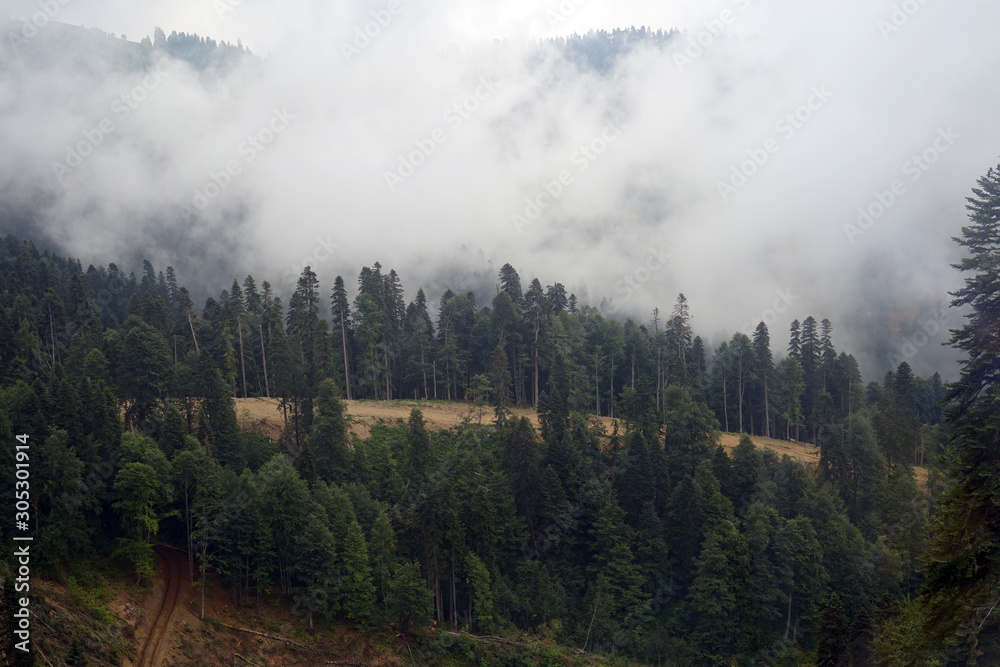 cable car, mountains, recreation, view, forest, cable car, mountains, recreation, view, forest,