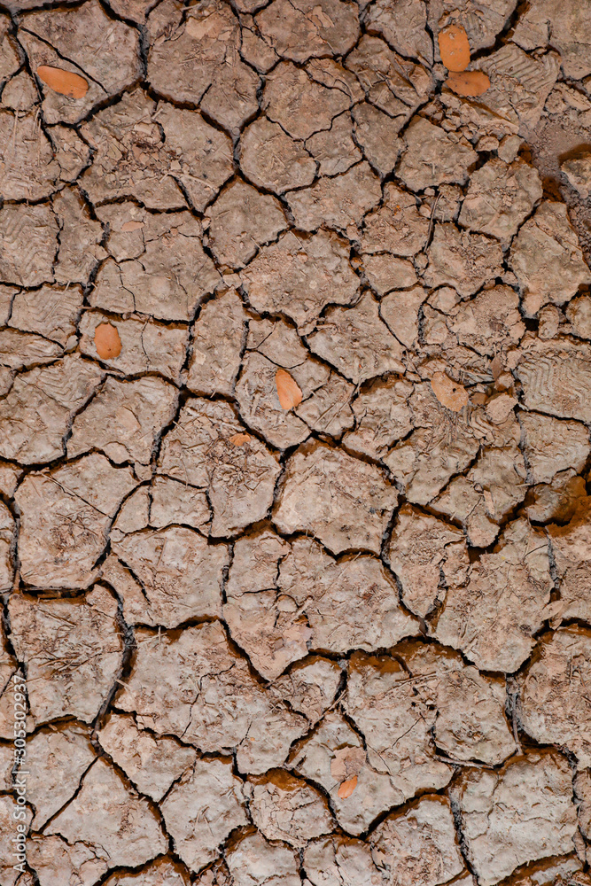 Dry land. Cracked ground background. Texture of dry and dehydrated ground surface. Dry land. Cracked ground background. Texture of dry and dehydrated ground surface.