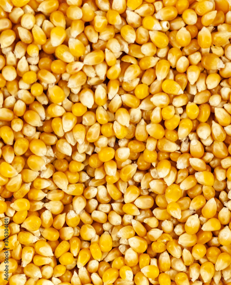 Up close shot of unpopped popcorn kernels Up close shot of unpopped popcorn kernels