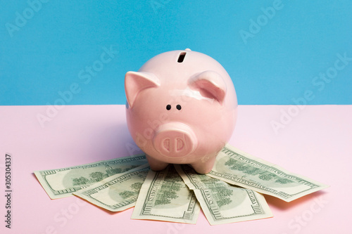 Piggy bank and golden coin. Savings and finance concept