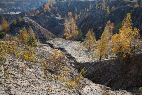 Golden autumn in Central Russia (Tula region)