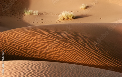 Sunset in the dunes of the Sahara ( Morocco)