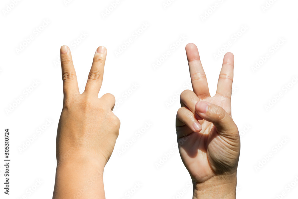 front and back side of hands gesturing sign victory isolated on white background front and back side of hands gesturing sign victory isolated on white background