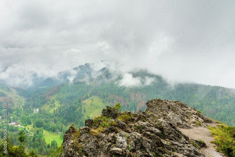 Rocky mountain in Polish Tatra mountains. Beautiful green forests. Everything is covered with clouds and fog